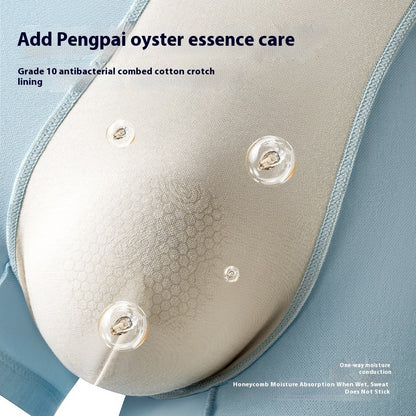 Nylon Modal Boxer Shorts Men's Middle-aged And Elderly Boxers - BOC-WEAR